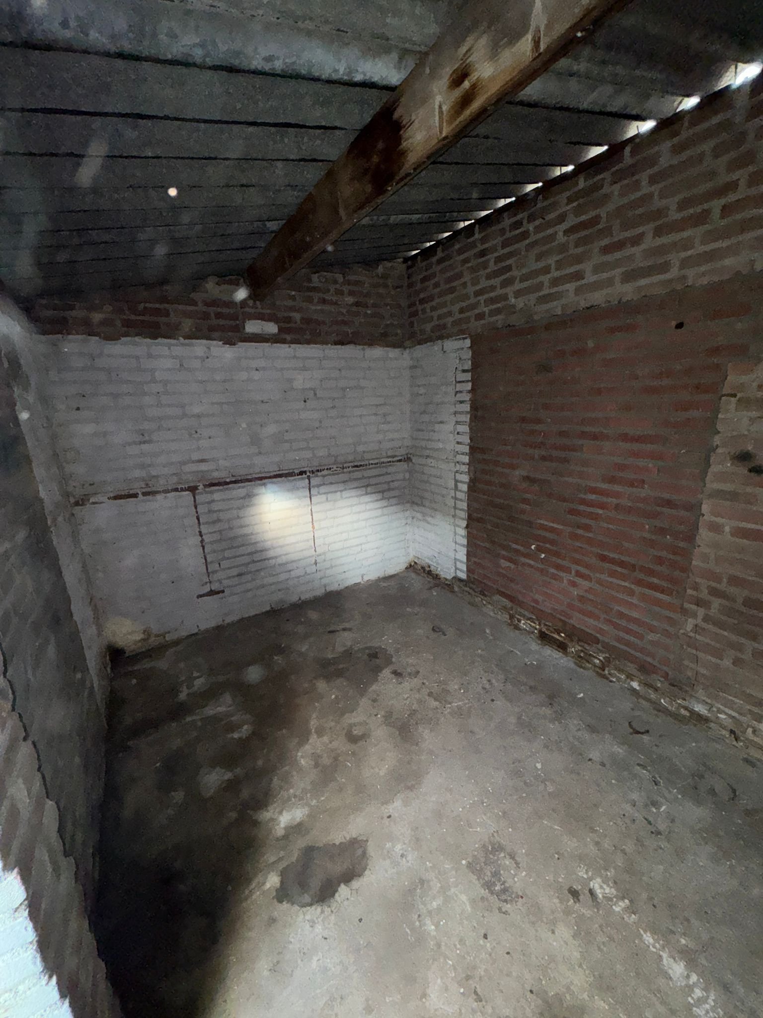 WhatsApp Image 2026-03-03 at 17.46.05 (5)