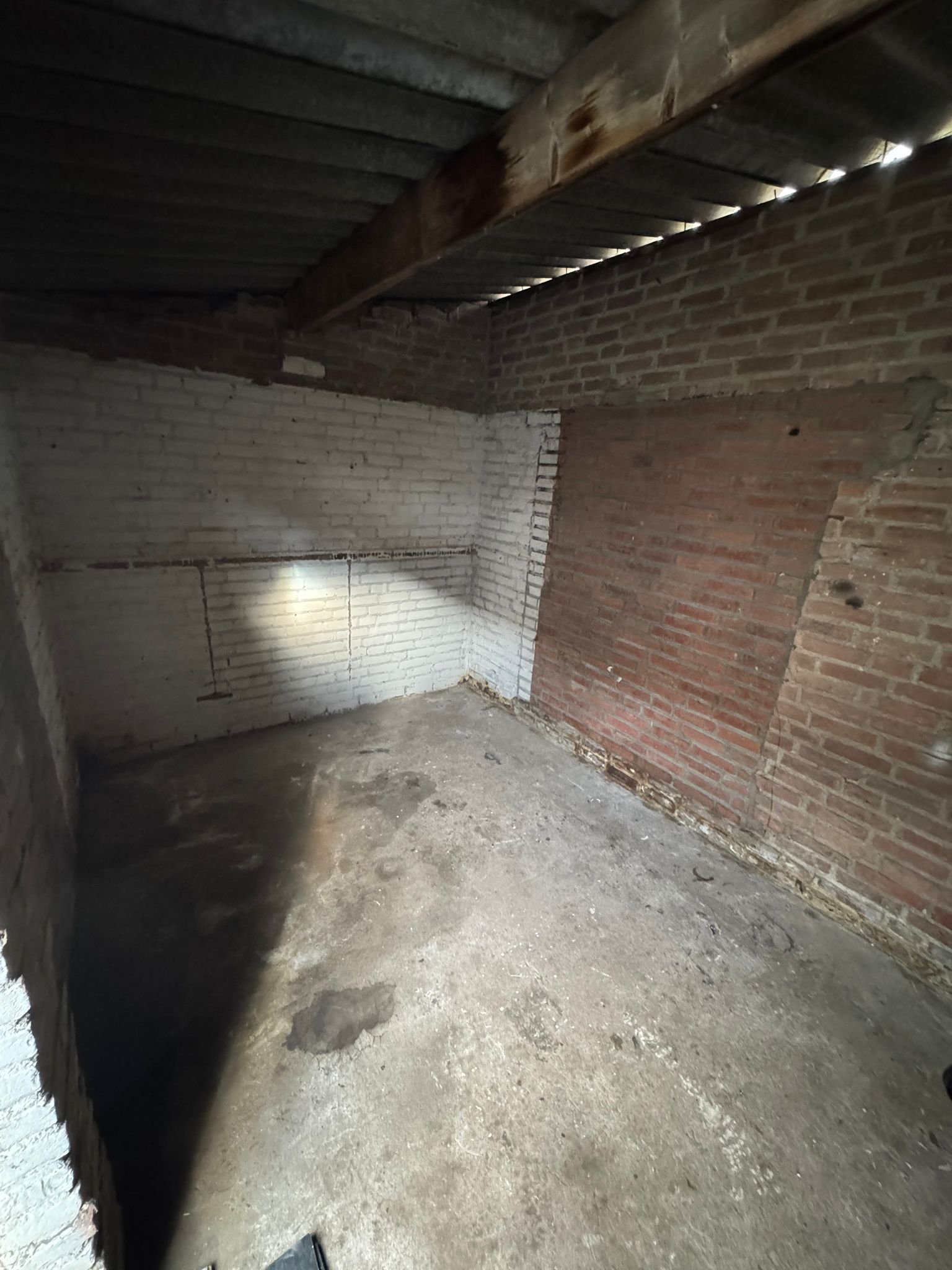 WhatsApp Image 2026-03-03 at 17.46.05 (6)