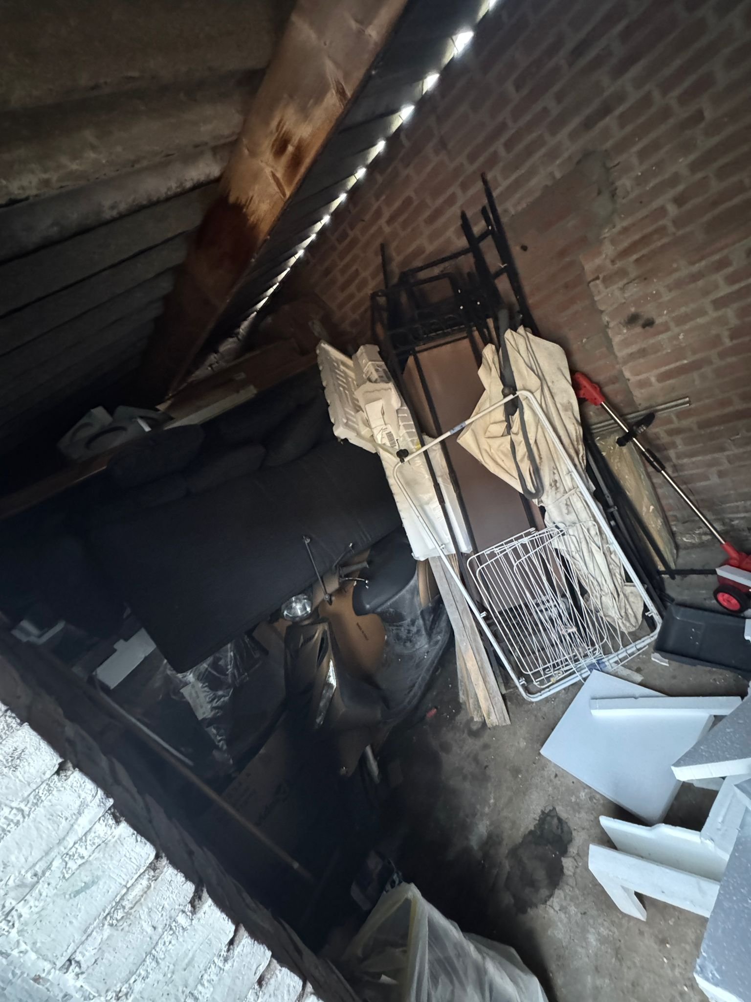 WhatsApp Image 2026-03-03 at 17.46.06 (3)