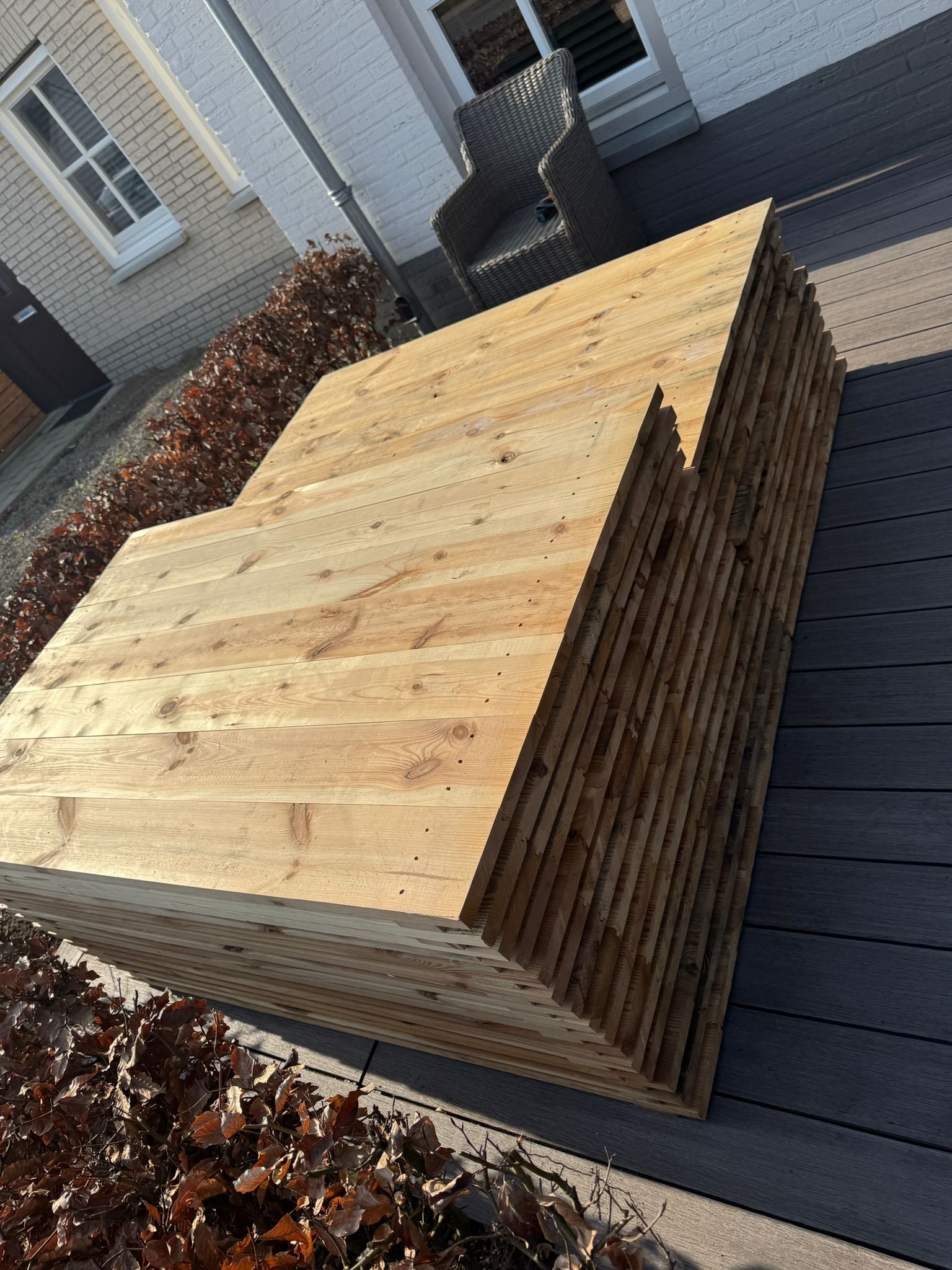 WhatsApp Image 2026-03-04 at 10.59.24 (1)